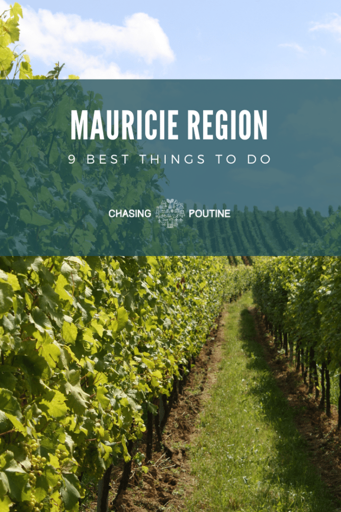 9 Best Things to Do in the Mauricie Region - Vineyard