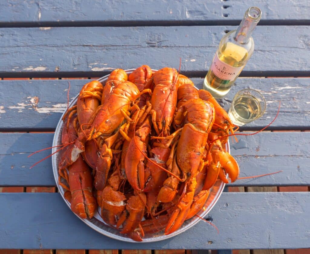 Fresh Caught Lobster - Gaspesie - Magdalen Islands