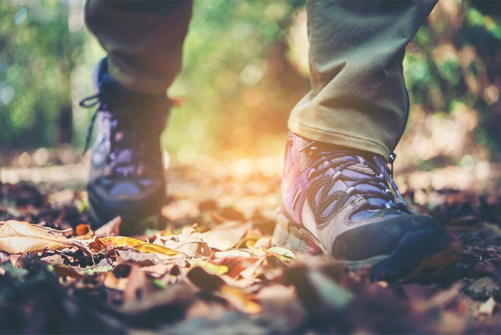 Hiking Shoes - in Forest - Freepik