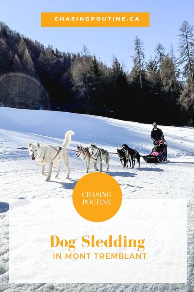 Dog Sledding - in a Sunny Day - Pinterest