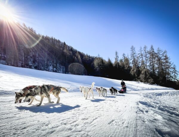 People Riding on Sled - with Husky Dogs - Kevin Bessat - From Unsplash