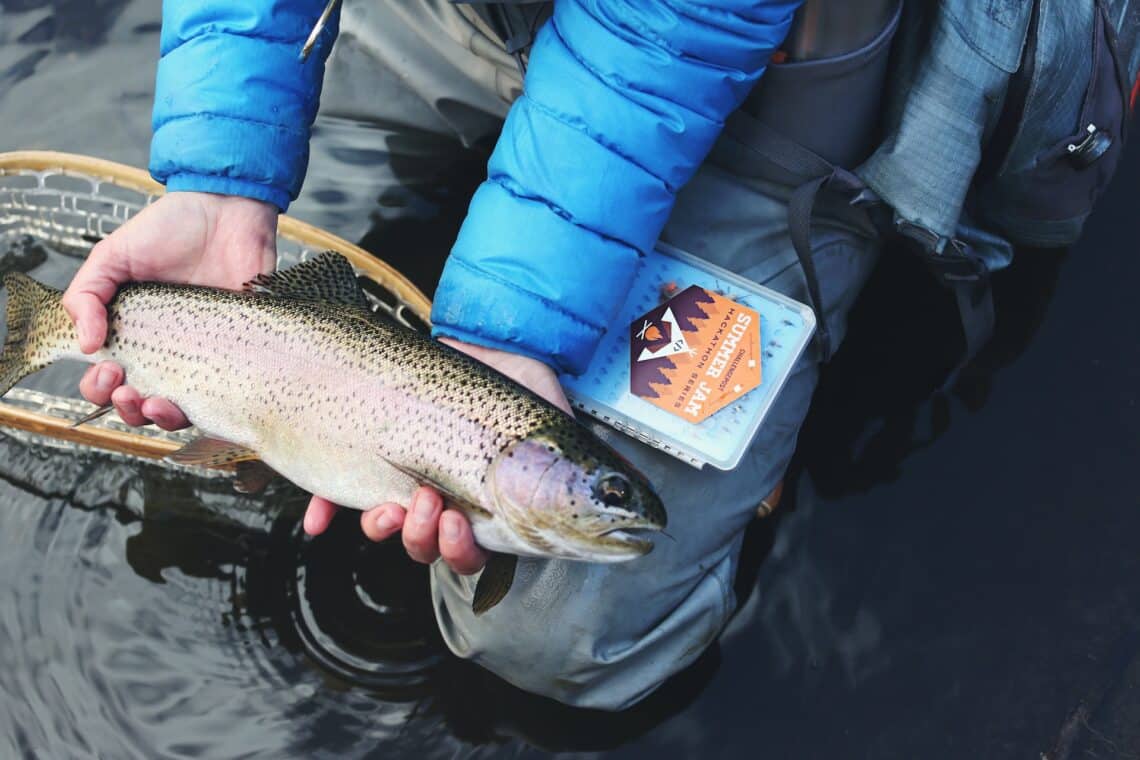 A Trout in a Fishing Net - Sticker Mule - From Unsplash