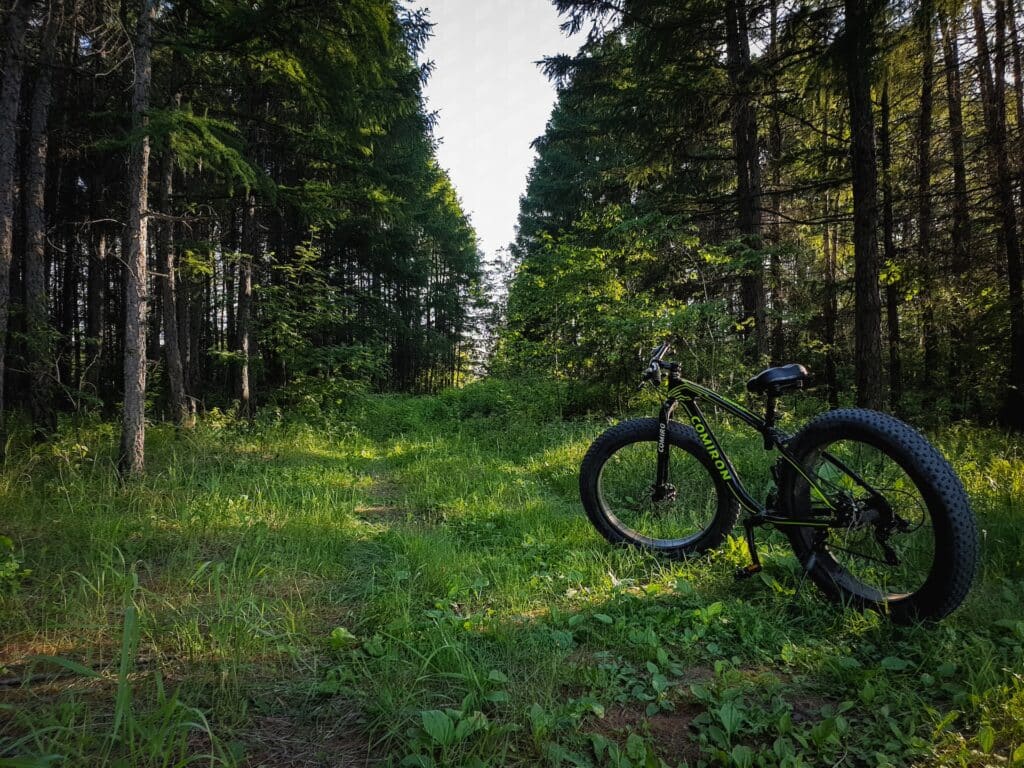 Black Fat Bike - in the Forest - Roman Mirsky - From Unsplash