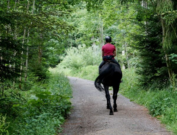 Woman sit on a Black Horse - Beth Macdonald - From Unsplash