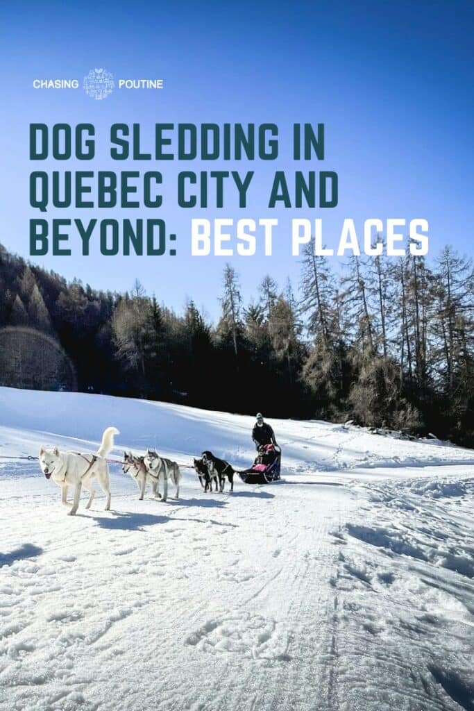 A Dog Sled Guide on Trail - Best Places - in Quebec City