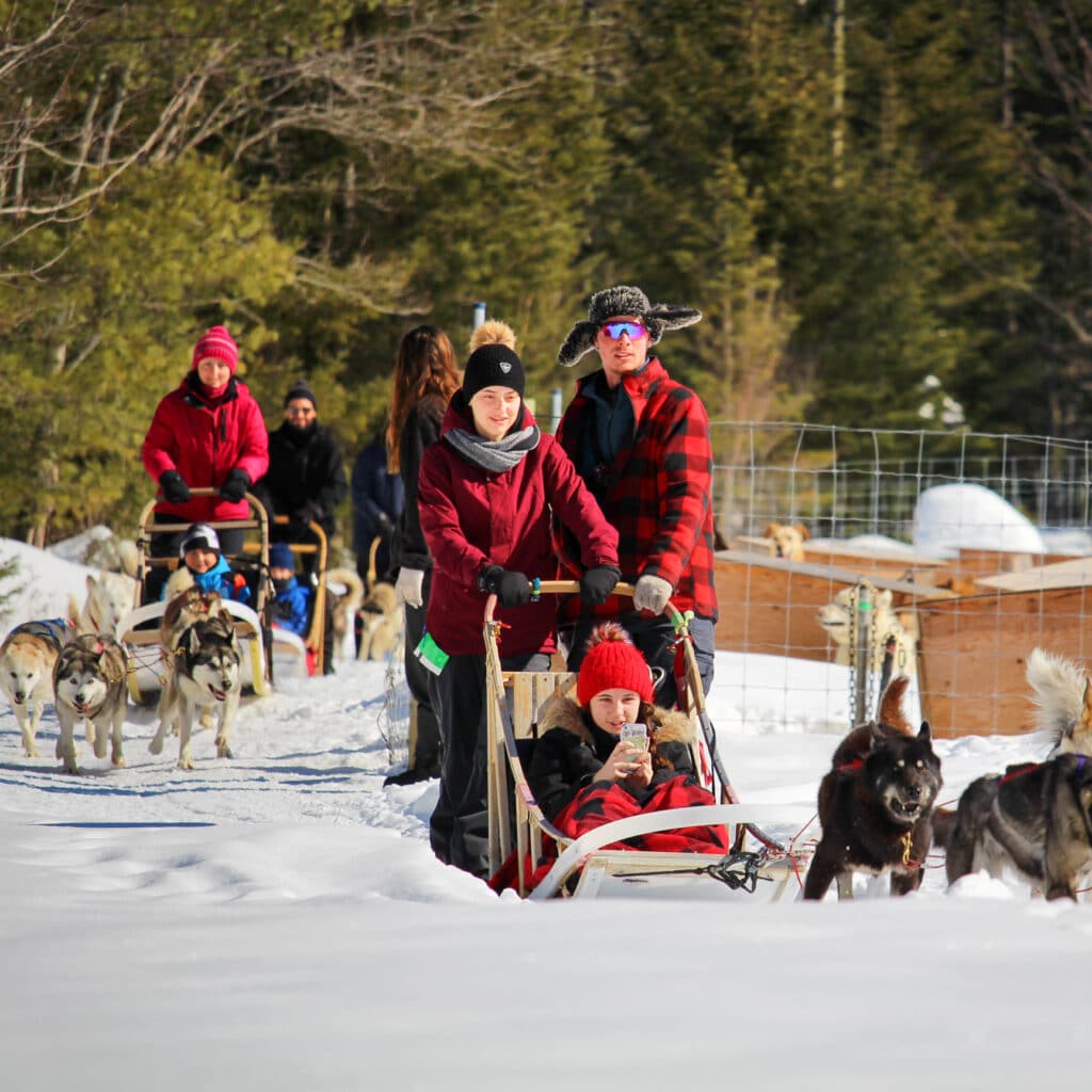 A Family Dog Sledding - in Winter - Au Chalet du Bois Rond