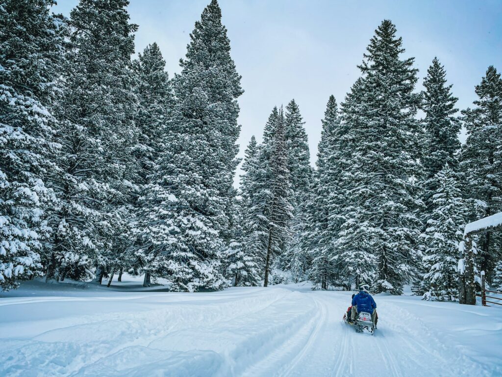 A Person Riding a Sled Down - a Snow Covered Road - Dan Cutler - from Unsplash