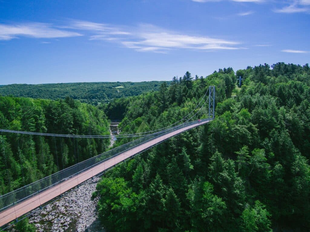 Bridge in the Forest - Parc Régional de la Gorge de Coaticook