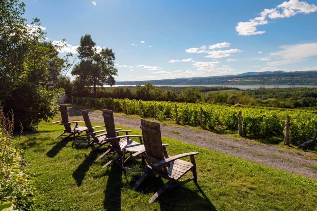Chairs in Front of an Ile dOrleans Vineyard - Jeff Frenette Photography - Destination Quebec Cite