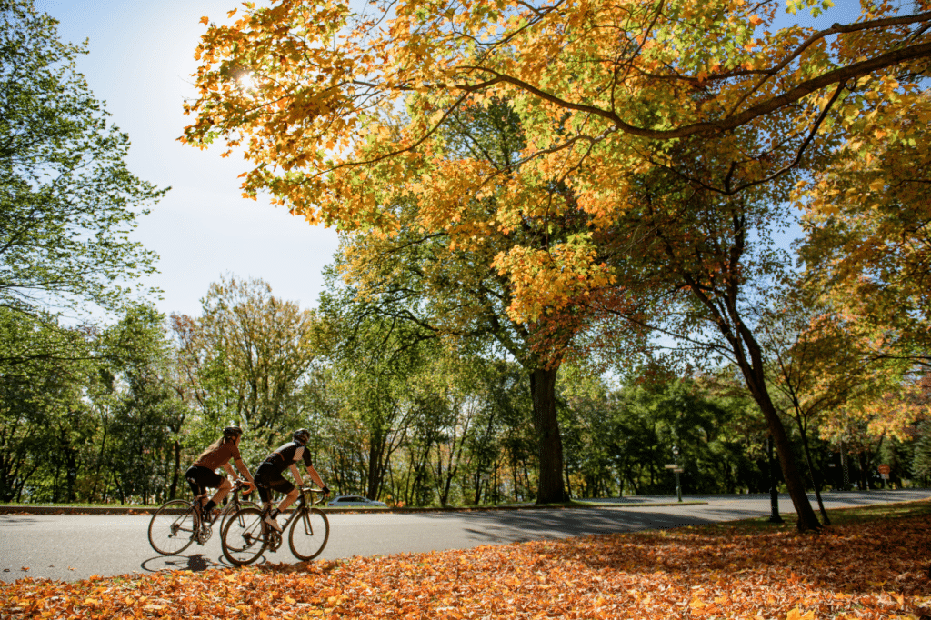 A Couple Cycling on the Plains of Abraham - in-autumn - Francis Fontaine - Destination Quebec Cite