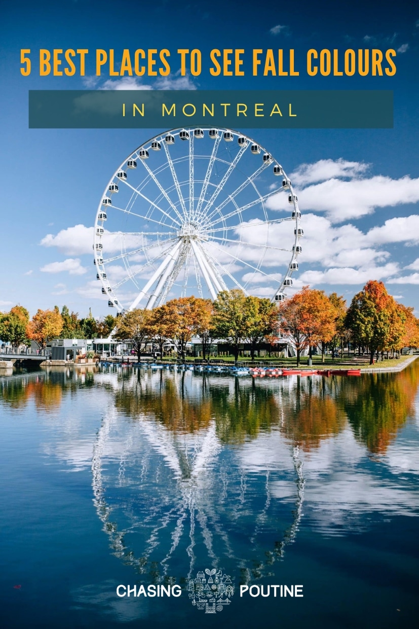 5 Best Places to See Fall Colours in Montreal | Chasing Poutine