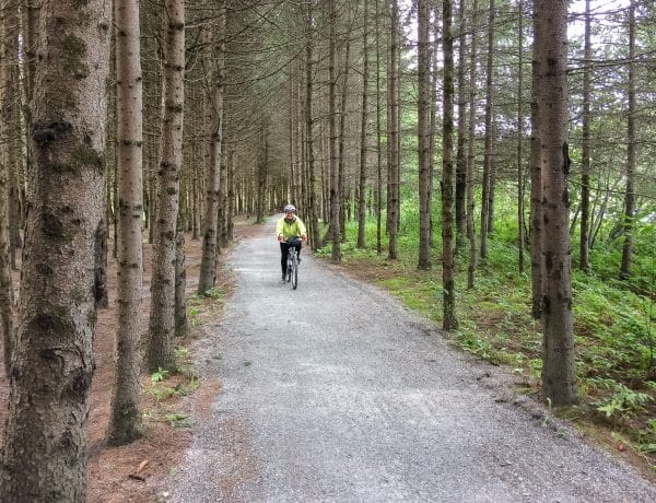 Bike path through the woods in Quebec - Tomifobia Nature Trail - Marty Basch