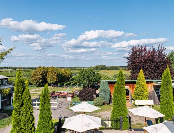 Aerial view of Vents d'Ange farm - Photo: Melanie Jean