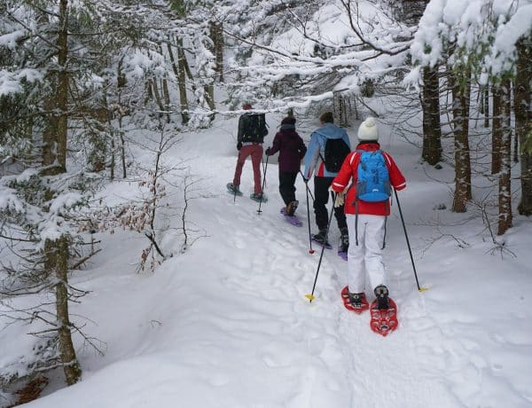 Snowshoers in the forest in Gatineau - Pexels - Landsmann