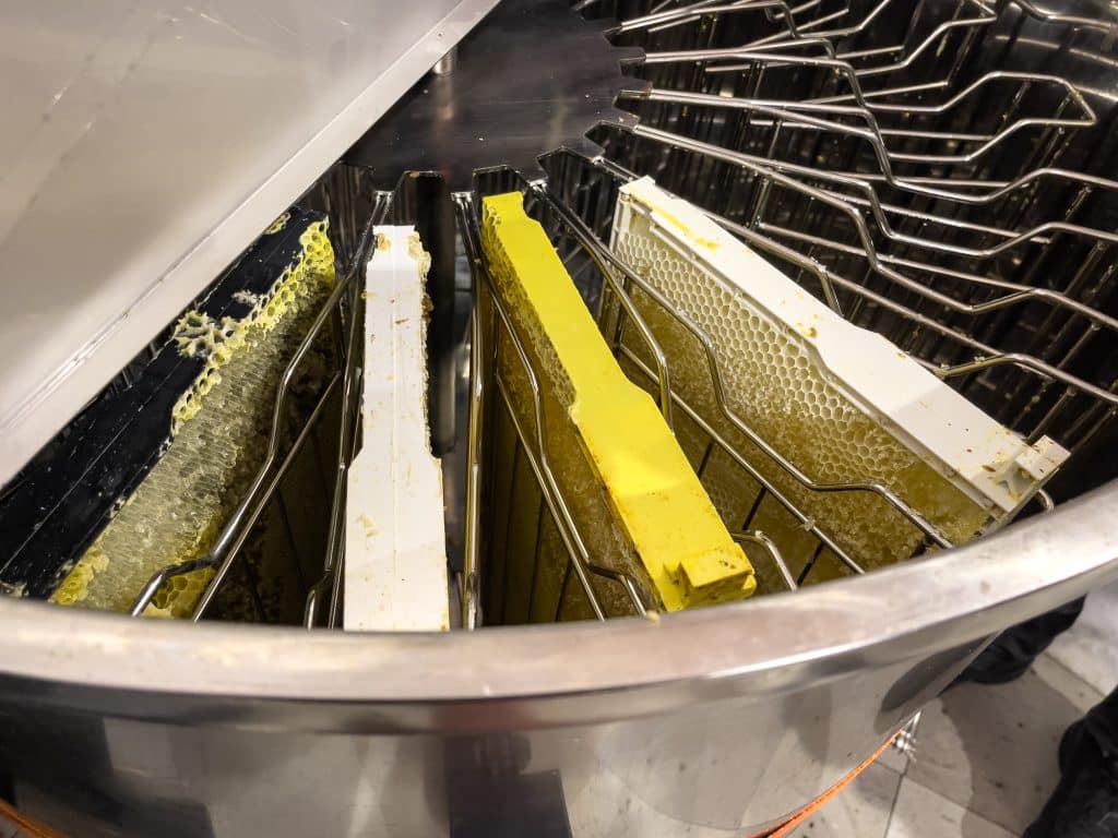 Processing of honey for mead at Apikol