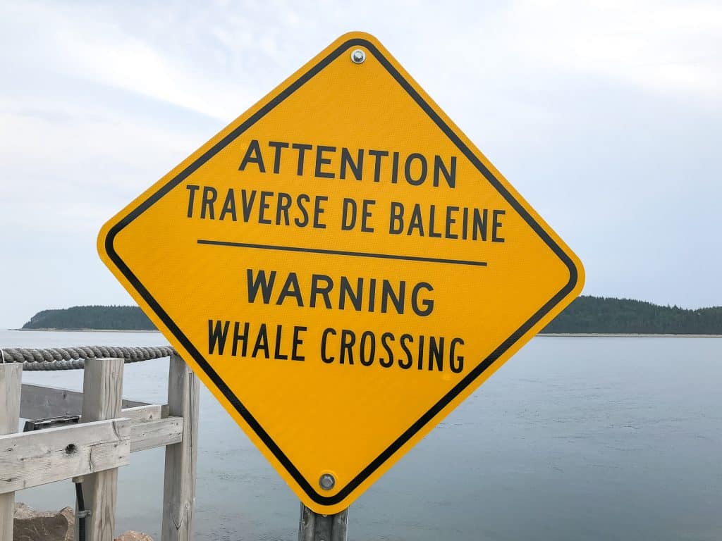 Whale crossing sign on a road trip to Quebec